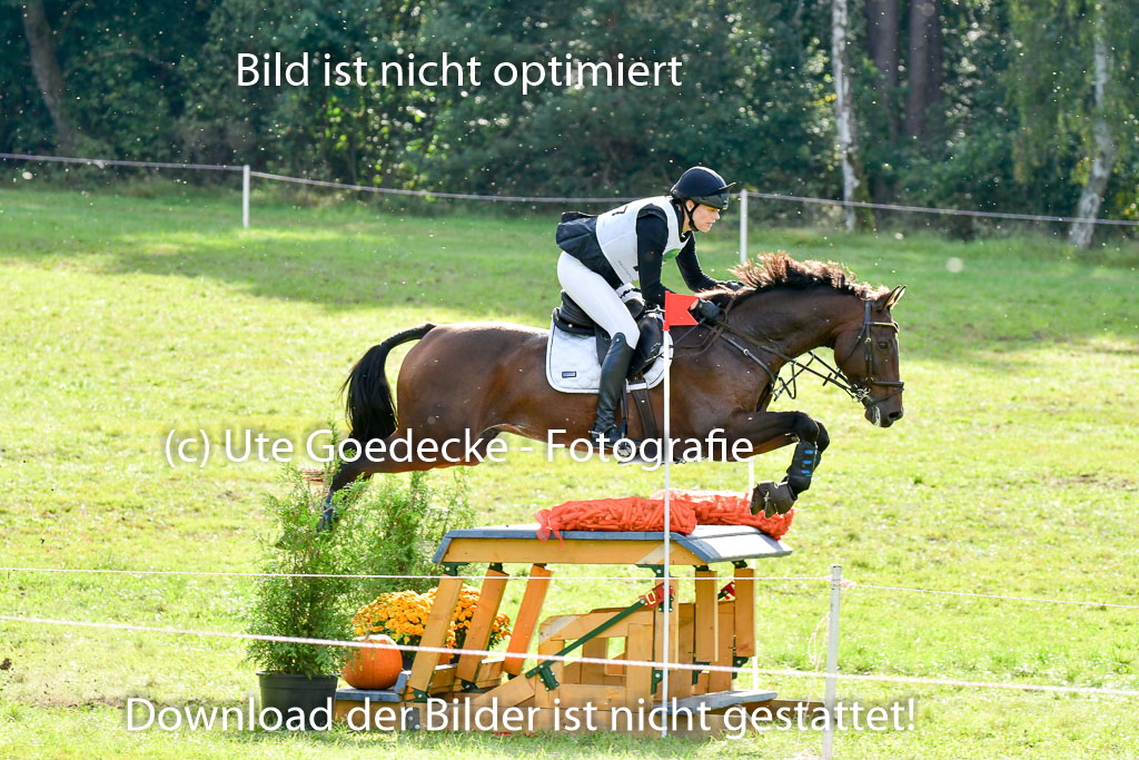 MechtersenHerbstvielseitigkeit 2023 | 240923 Mechtersen Intro_406