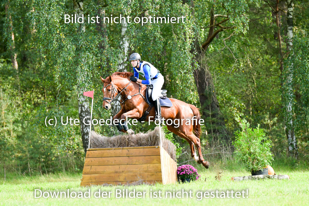 MechtersenHerbstvielseitigkeit 2023 | 240923 Mechtersen Intro_425