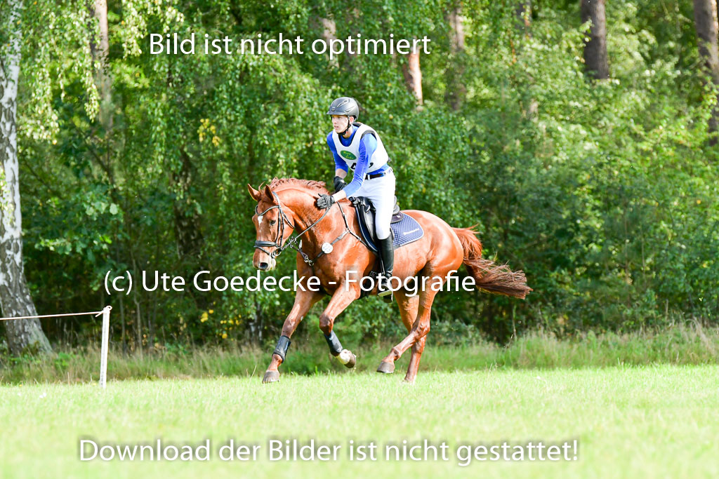 Mechtersen Herbstvielseitigkeit 2023 | 240923 Mechtersen Intro_426