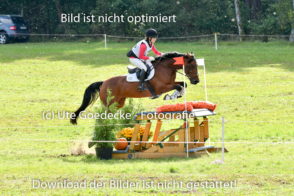 Mechtersen Herbstvielseitigkeit 2023 | 240923 Mechtersen Intro_444
