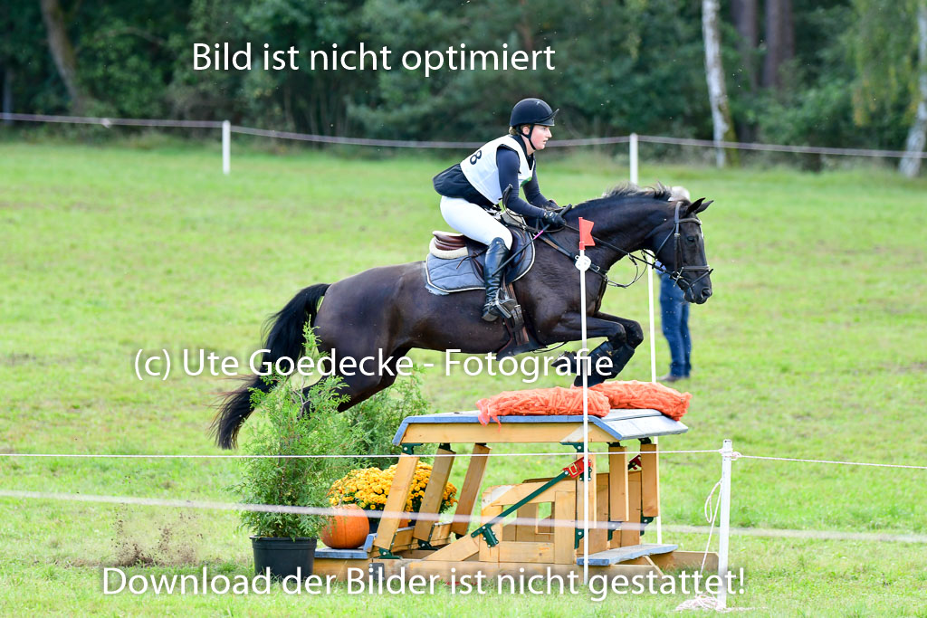 Mechtersen Herbstvielseitigkeit 2023 | 240923 Mechtersen Intro_495 