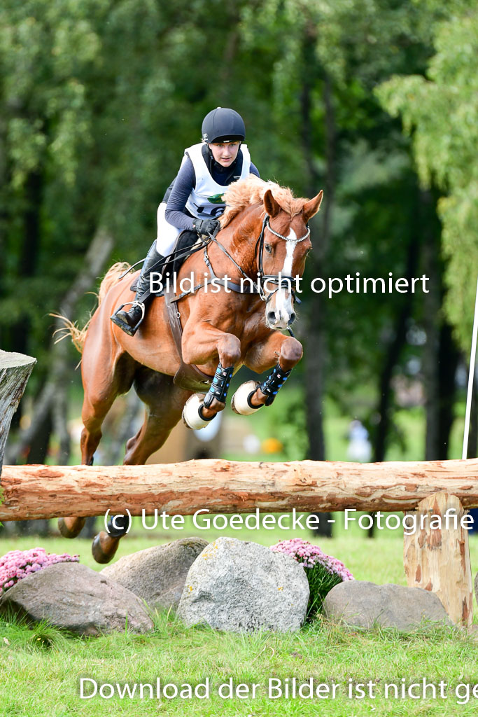 Mechtersen Herbstvielseitigkeit 2023 | 240923 Mechtersen Intro_514