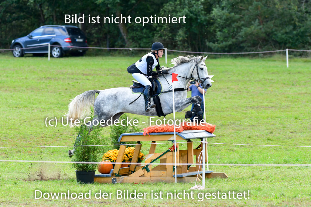 Mechtersen Herbstvielseitigkeit 2023 | 240923 Mechtersen Intro_527