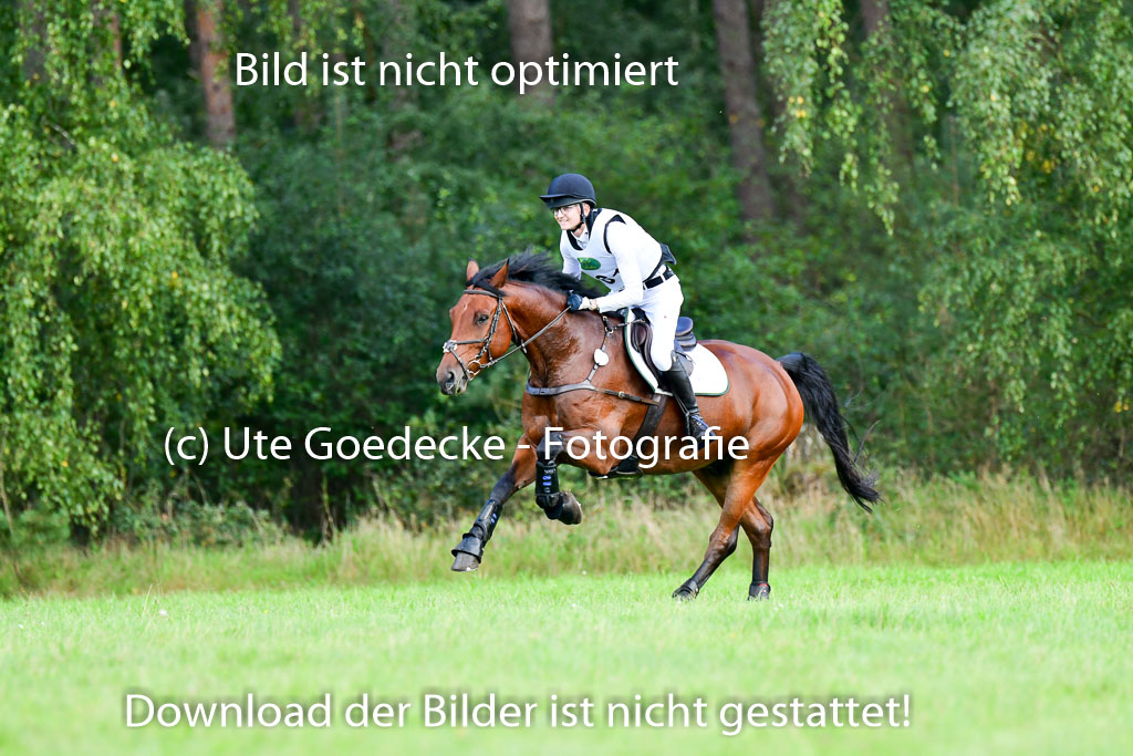 Mechtersen Herbstvielseitigkeit 2023 | 240923 Mechtersen Intro_559 