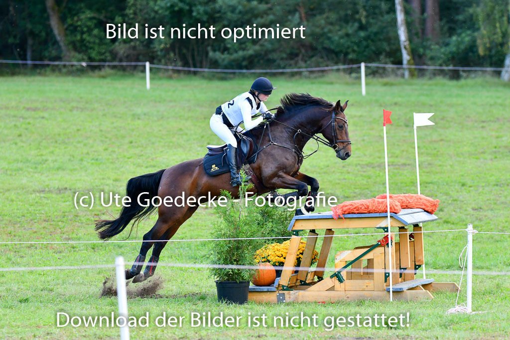 Mechtersen Herbstvielseitigkeit 2023 | 240923 Mechtersen Intro_561