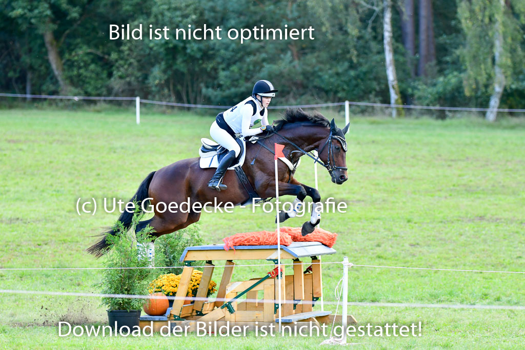 Mechtersen Herbstvielseitigkeit 2023 | 240923 Mechtersen Intro_579 