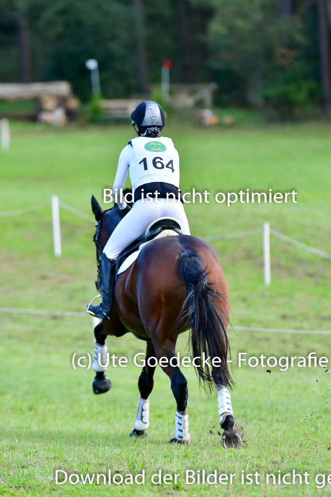 Mechtersen Herbstvielseitigkeit 2023 | 240923 Mechtersen Intro_587 