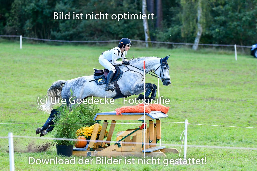 Mechtersen Herbstvielseitigkeit 2023 | 240923 Mechtersen Intro_623 