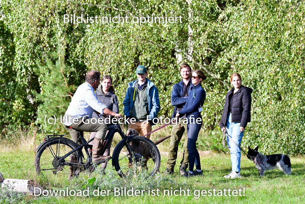 Mechtersen Herbstvielseitigkeit 2023 | 240923 Mechtersen Intro_667