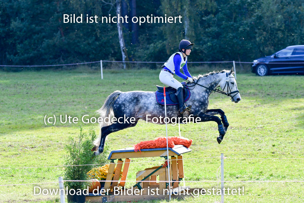 Mechtersen Herbstvielseitigkeit 2023 | 240923 Mechtersen Intro_701