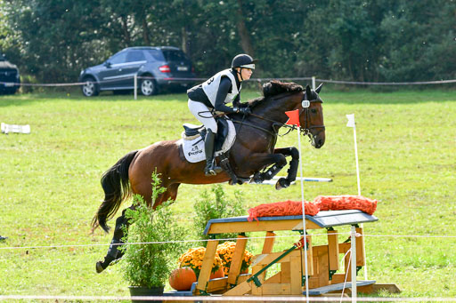 MechtersenHerbstvielseitigkeit 2023 | 240923 Mechtersen Intro_060 