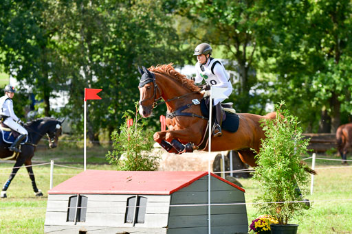 MechtersenHerbstvielseitigkeit 2023 | 240923 Mechtersen Intro_067 