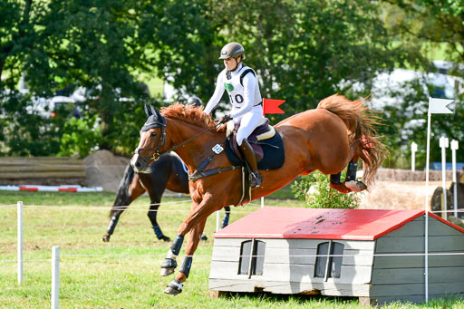 MechtersenHerbstvielseitigkeit 2023 | 240923 Mechtersen Intro_069 