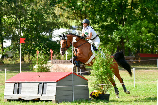 MechtersenHerbstvielseitigkeit 2023 | 240923 Mechtersen Intro_150 