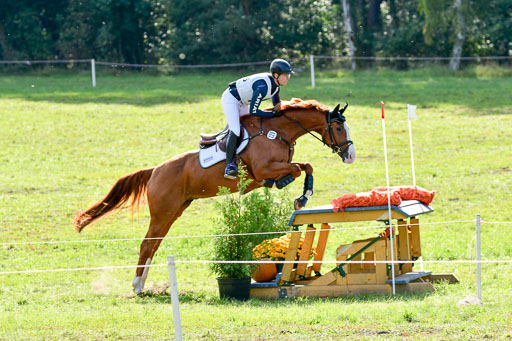 MechtersenHerbstvielseitigkeit 2023 | 240923 Mechtersen Intro_209 