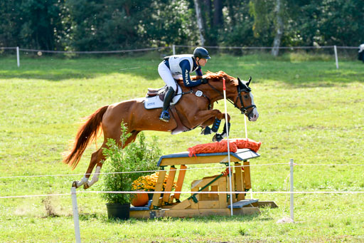 MechtersenHerbstvielseitigkeit 2023 | 240923 Mechtersen Intro_210 