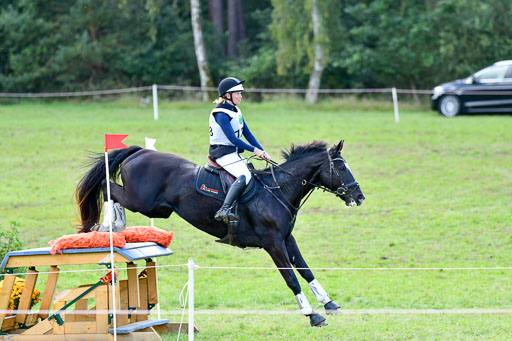 MechtersenHerbstvielseitigkeit 2023 | 240923 Mechtersen Intro_241 