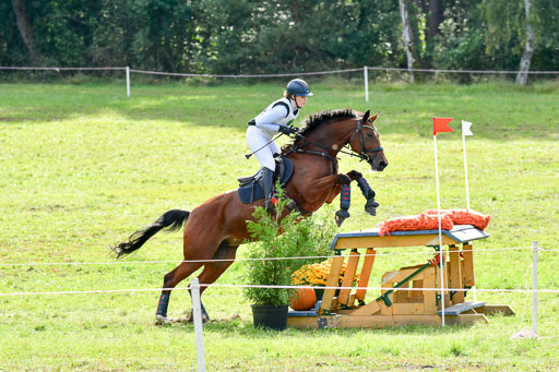 MechtersenHerbstvielseitigkeit 2023 | 240923 Mechtersen Intro_360 