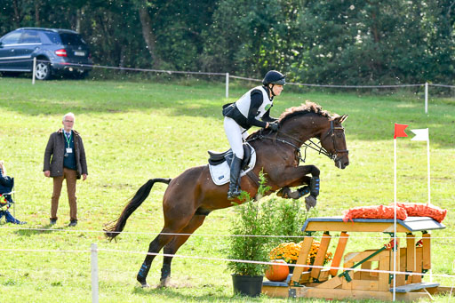 MechtersenHerbstvielseitigkeit 2023 | 240923 Mechtersen Intro_404 