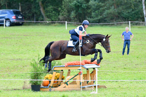 Mechtersen Herbstvielseitigkeit 2023 | 240923 Mechtersen Intro_480 