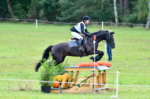 Mechtersen Herbstvielseitigkeit 2023 | 240923 Mechtersen Intro_495 