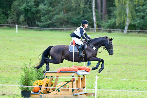 Mechtersen Herbstvielseitigkeit 2023 | 240923 Mechtersen Intro_496 