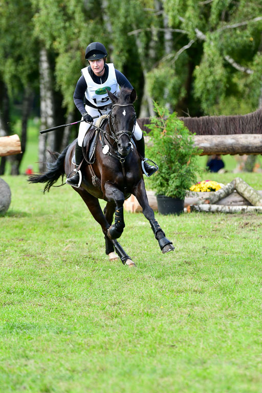 Mechtersen Herbstvielseitigkeit 2023 | 240923 Mechtersen Intro_500 