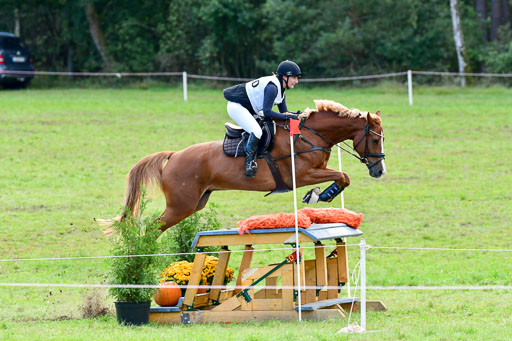 Mechtersen Herbstvielseitigkeit 2023 | 240923 Mechtersen Intro_511 