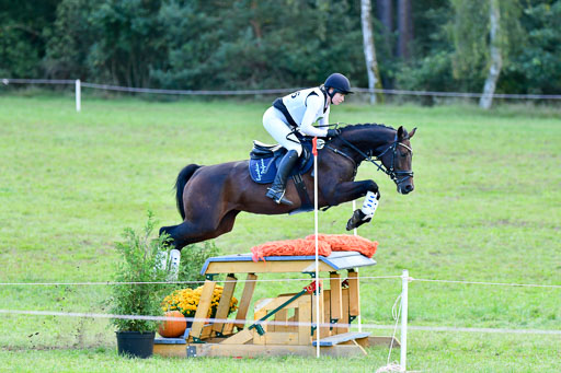 Mechtersen Herbstvielseitigkeit 2023 | 240923 Mechtersen Intro_606 