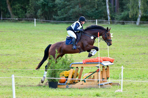 Mechtersen Herbstvielseitigkeit 2023 | 240923 Mechtersen Intro_640 