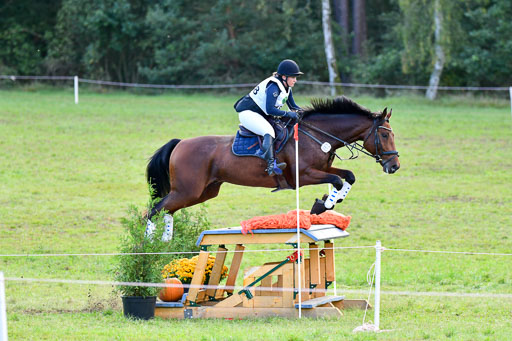 Mechtersen Herbstvielseitigkeit 2023 | 240923 Mechtersen Intro_641 