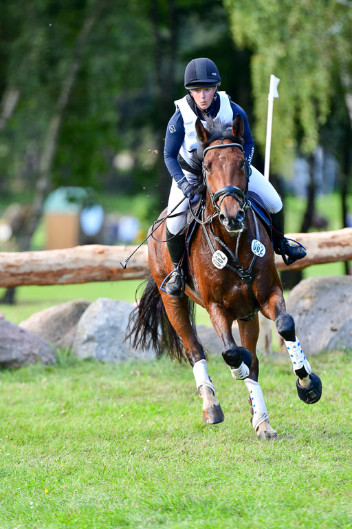 Mechtersen Herbstvielseitigkeit 2023 | 240923 Mechtersen Intro_645 