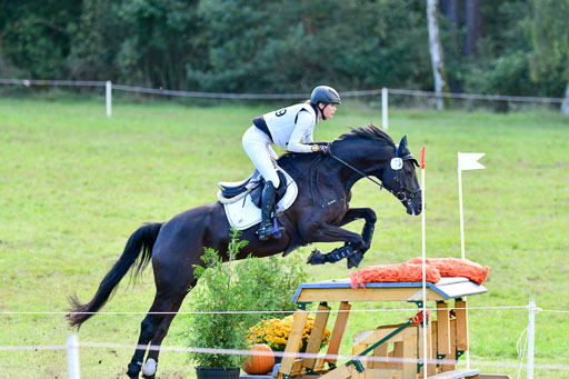 Mechtersen Herbstvielseitigkeit 2023 | 240923 Mechtersen Intro_652 