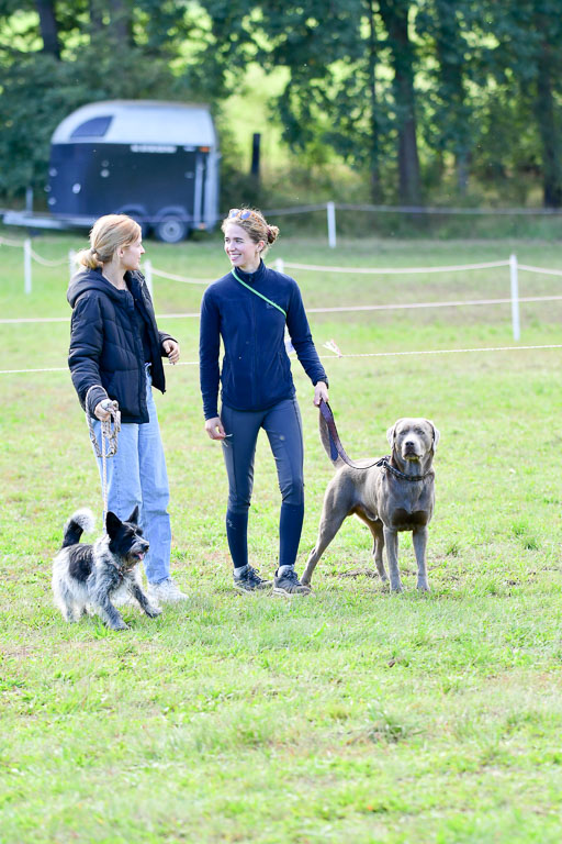 Mechtersen Herbstvielseitigkeit 2023 | 240923 Mechtersen Intro_654 