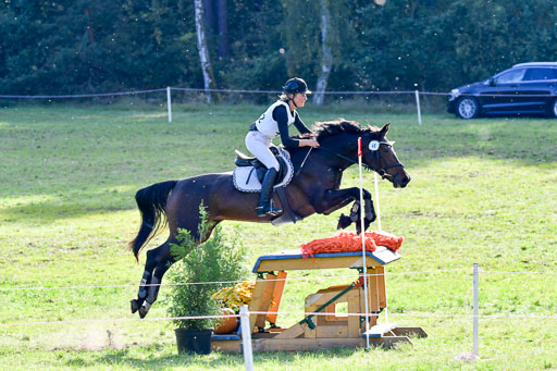 Mechtersen Herbstvielseitigkeit 2023 | 240923 Mechtersen Intro_684 