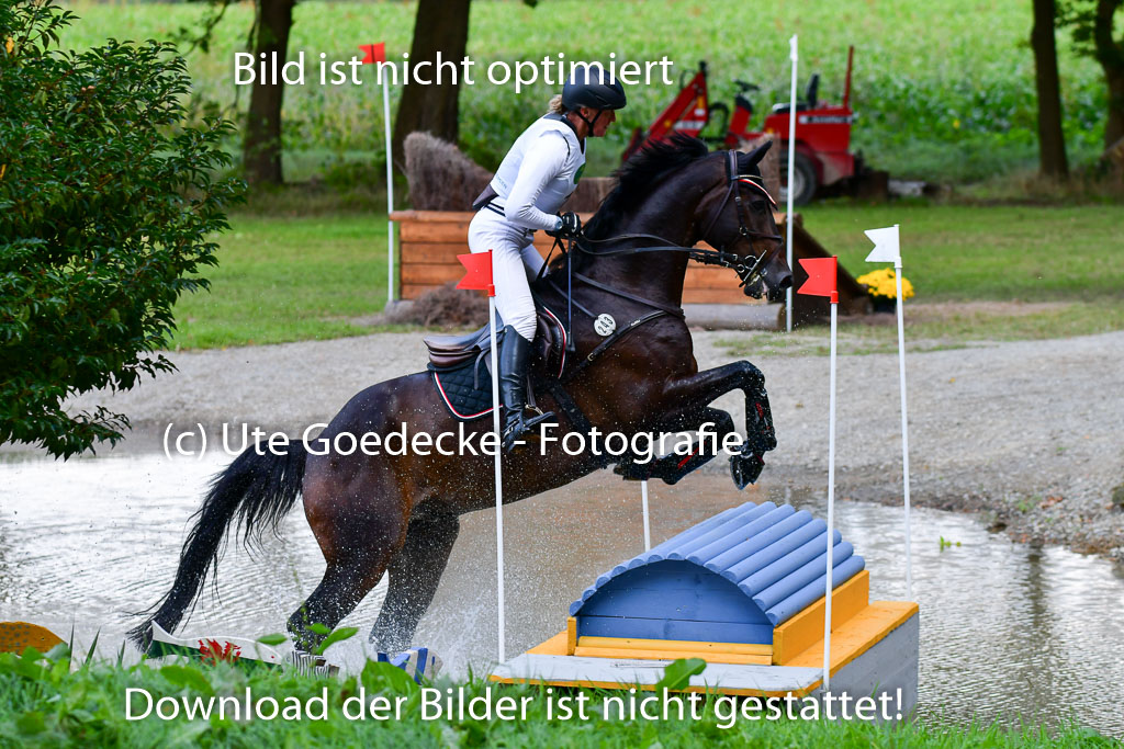 Mechtersen Herbstvielseitigkeit 2023 | 23092023 Mechtersen CCI2 _002