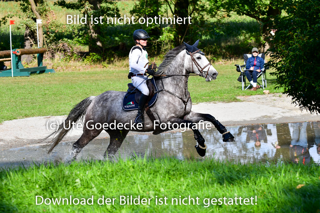 Mechtersen Herbstvielseitigkeit 2023 | 23092023 Mechtersen CCI2 _009