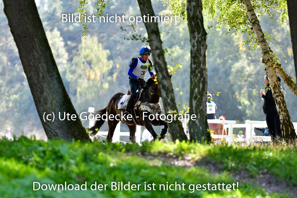 Mechtersen Herbstvielseitigkeit 2023 | 23092023 Mechtersen CCI2 _016