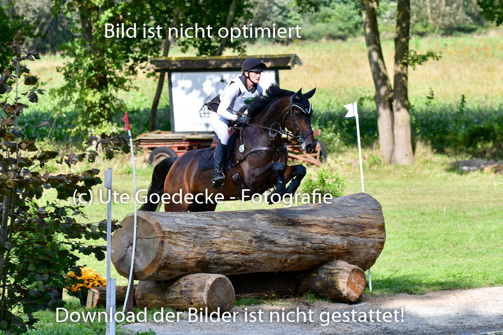 Mechtersen Herbstvielseitigkeit 2023 | 23092023 Mechtersen CCI2 _020