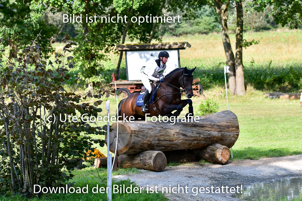 Mechtersen Herbstvielseitigkeit 2023 | 23092023 Mechtersen CCI2 _028