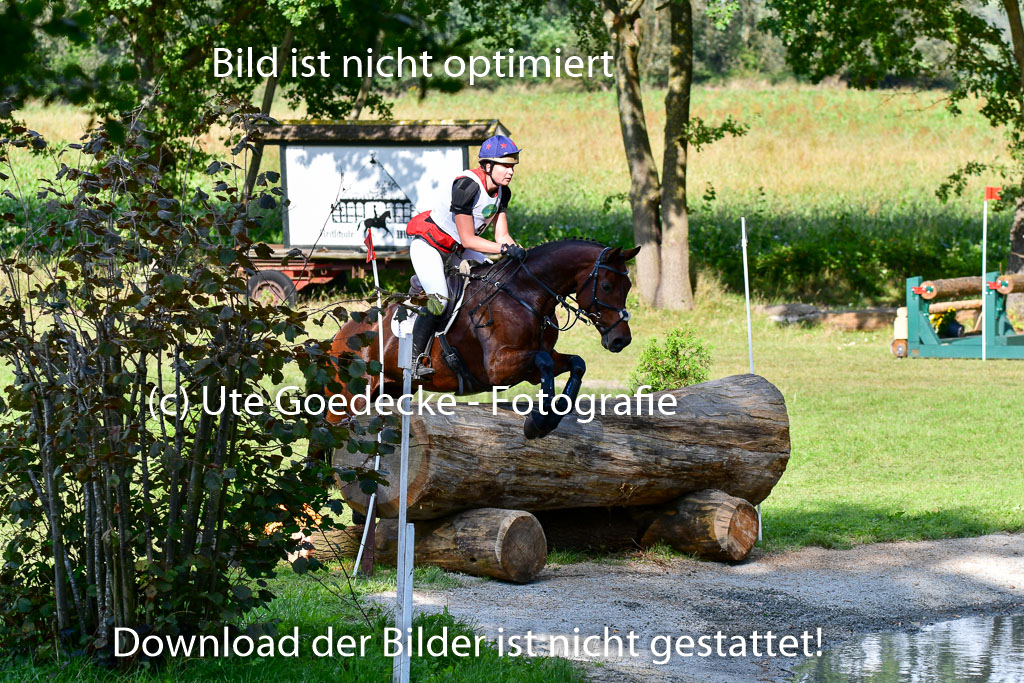 Mechtersen Herbstvielseitigkeit 2023 | 23092023 Mechtersen CCI2 _035