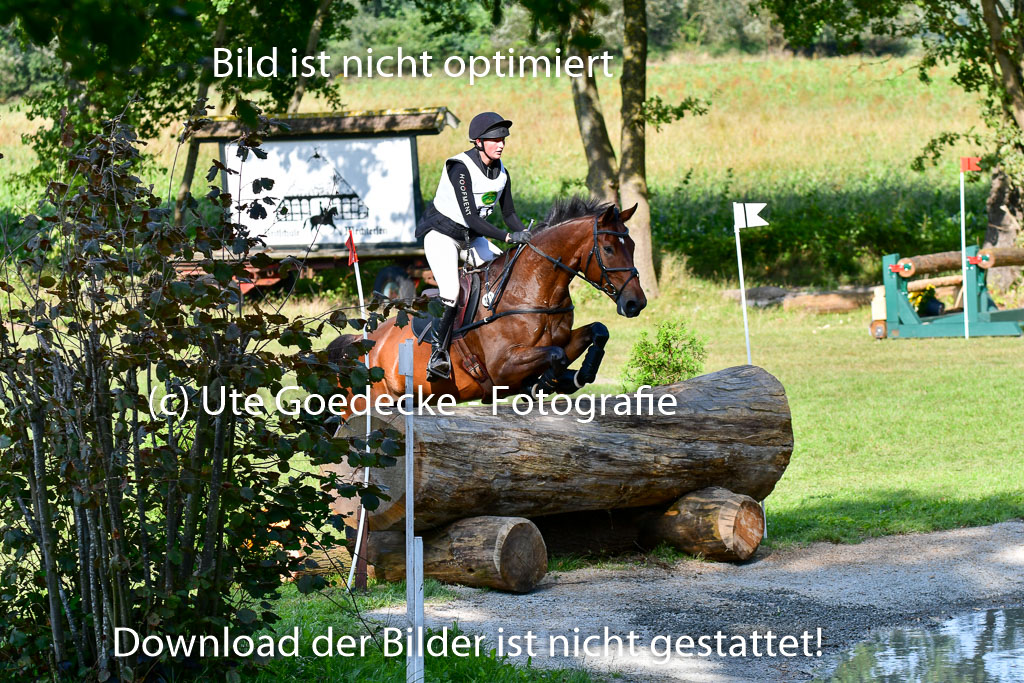 Mechtersen Herbstvielseitigkeit 2023 | 23092023 Mechtersen CCI2 _041