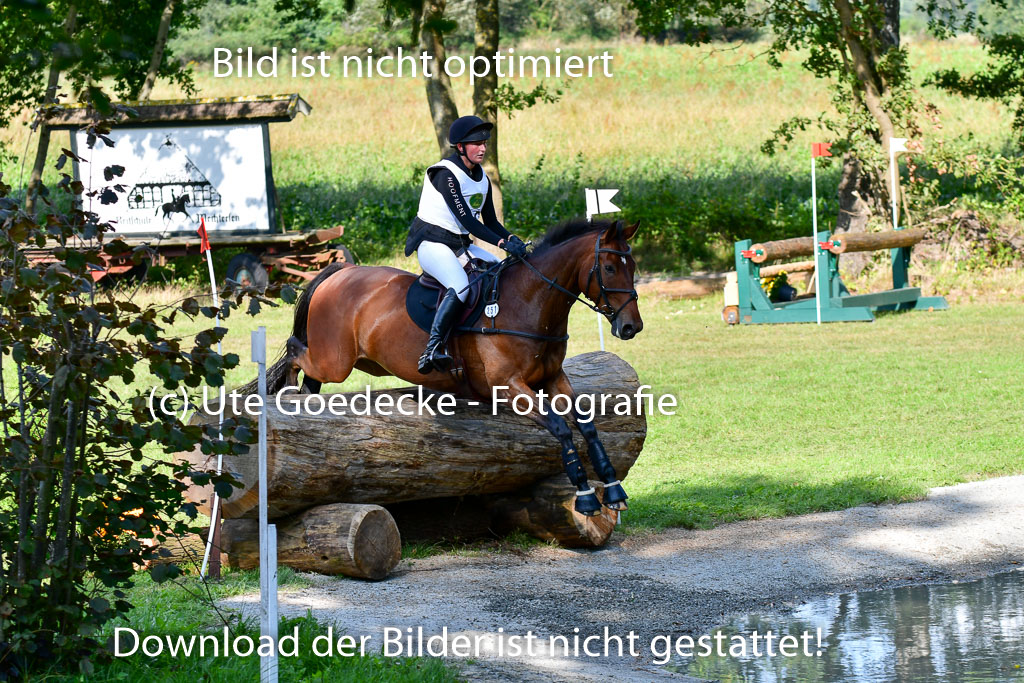 Mechtersen Herbstvielseitigkeit 2023 | 23092023 Mechtersen CCI2 _042