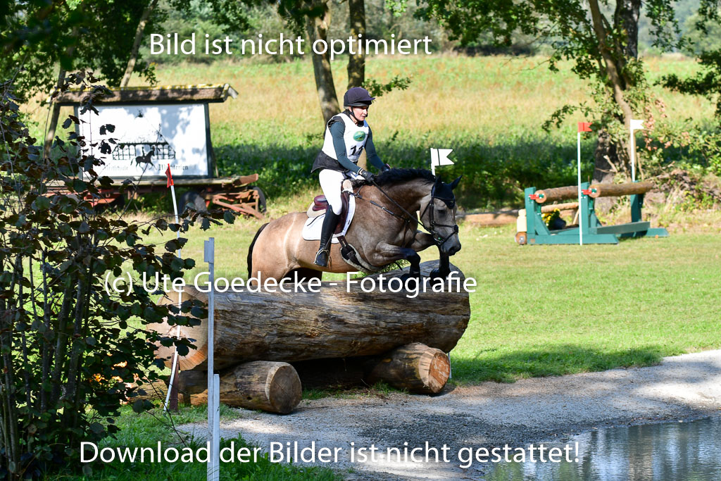 Mechtersen Herbstvielseitigkeit 2023 | 23092023 Mechtersen CCI2 _044