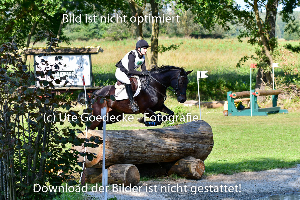 Mechtersen Herbstvielseitigkeit 2023 | 23092023 Mechtersen CCI2 _049