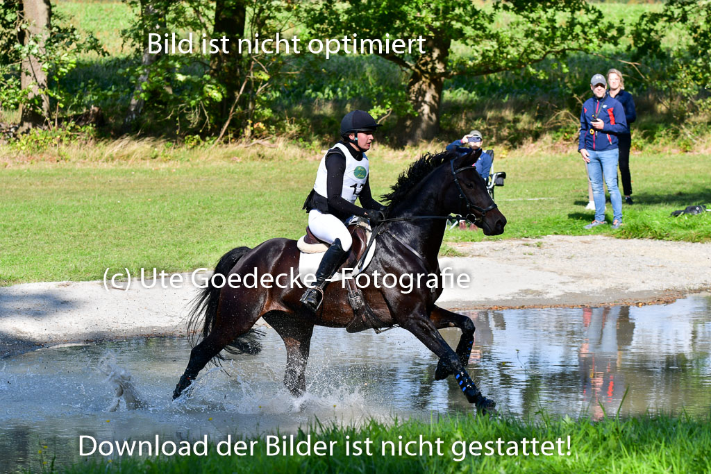 Mechtersen Herbstvielseitigkeit 2023 | 23092023 Mechtersen CCI2 _050