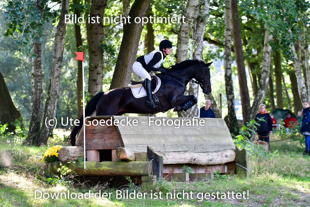 Mechtersen Herbstvielseitigkeit 2023 | 23092023 Mechtersen CCI2 _052