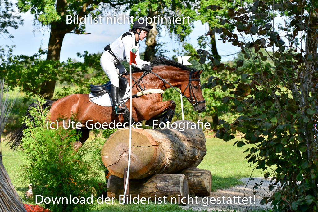 Mechtersen  Herbstvielseitigkeit 2023 | 23092023  Mechtersen CCI2 _055 