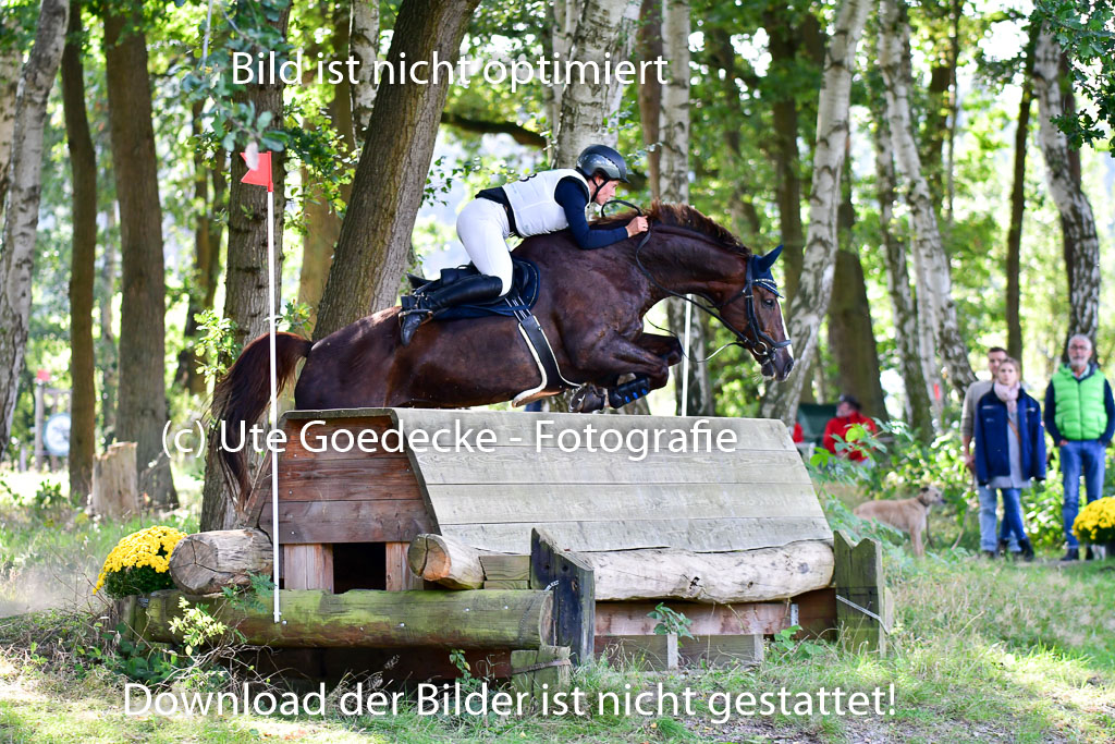 Mechtersen Herbstvielseitigkeit 2023 | 23092023 Mechtersen CCI2 _057