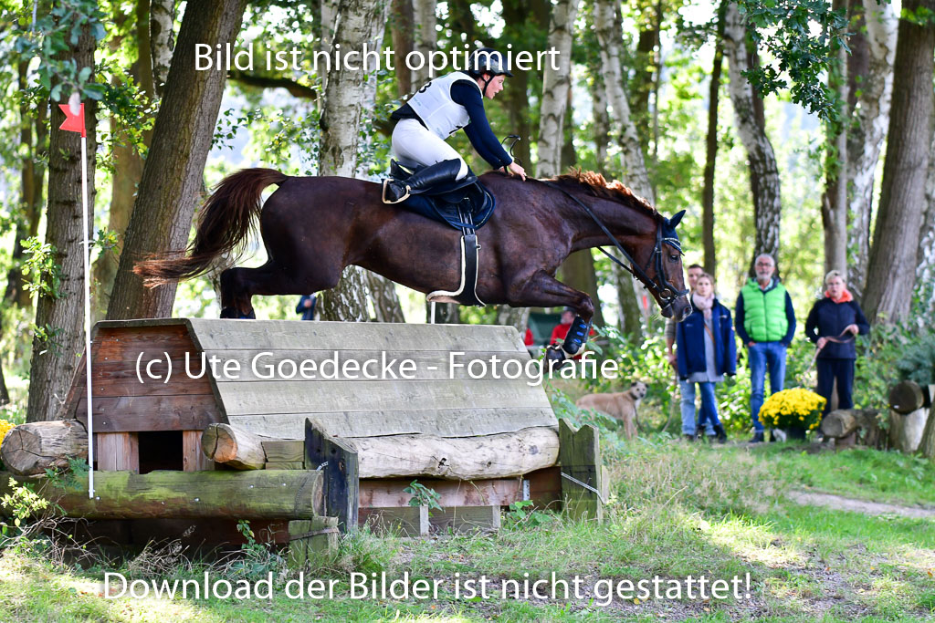 Mechtersen Herbstvielseitigkeit 2023 | 23092023 Mechtersen CCI2 _059